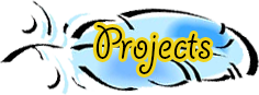 projects