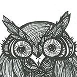 owl1