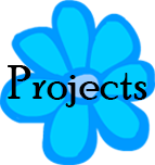 projects