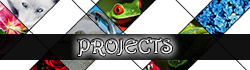 projects button