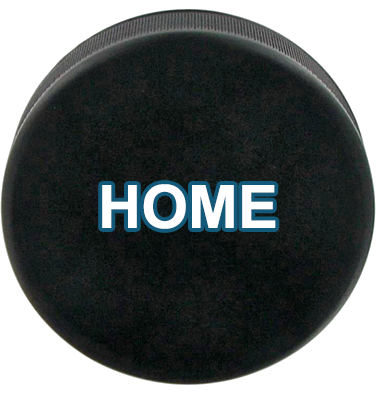 home button