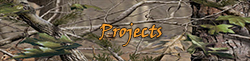 projects button