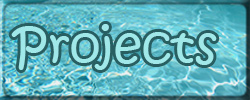 projects button