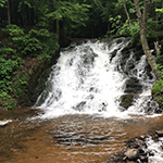 Morgan Falls 