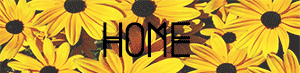 home button