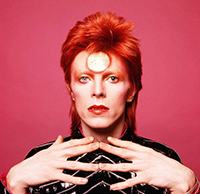 bowie