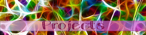 projects button