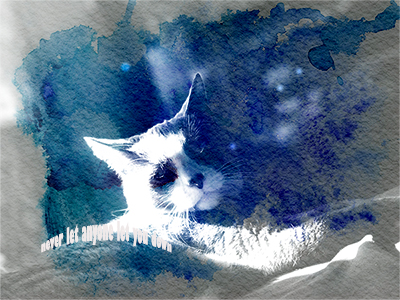 blue and white color splatter of a cat