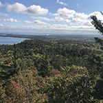 scenerie of trees from sugarloaf