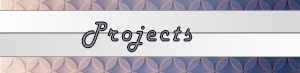 projects button