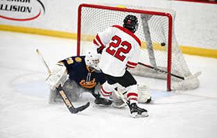 me playing hockey