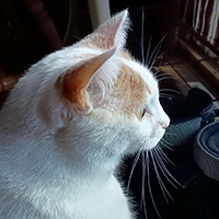 Small pic of bob  with link to  big pic