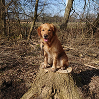 Small with link to big picture